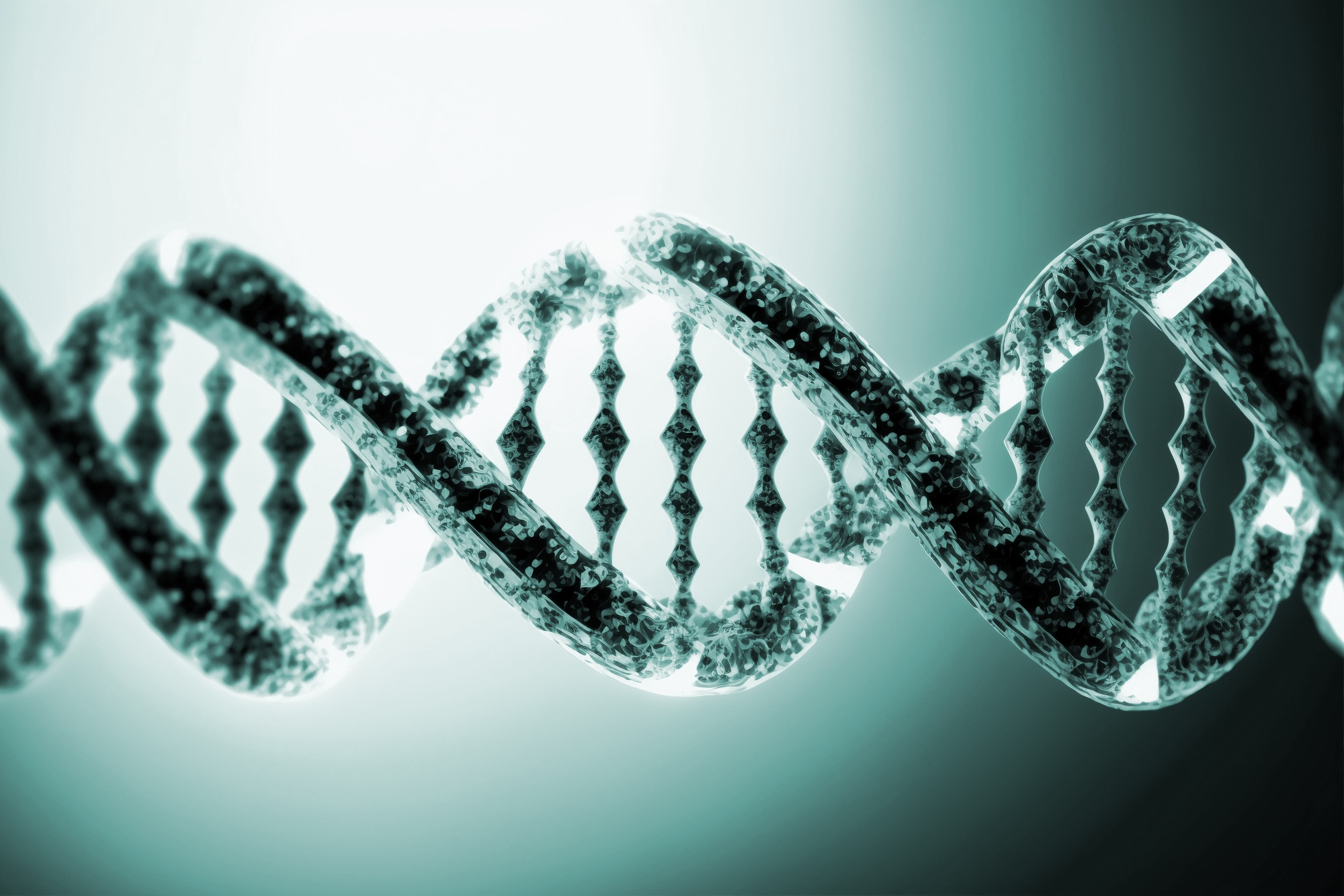 A Guide to Preimplantation Genetic Diagnosis (PGD)